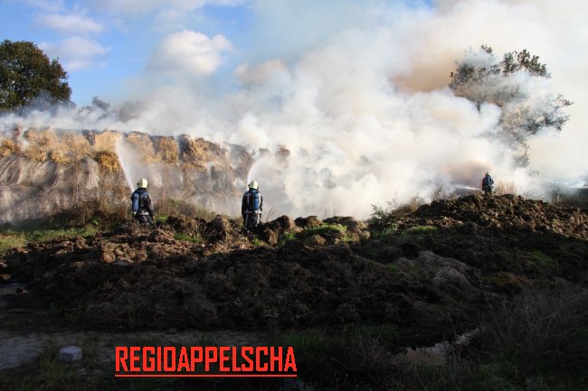 Regio Appelscha